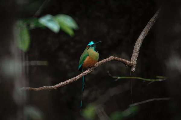 Qu'est-ce qu'il faut retenir sur la signalétique d'entreprise ?