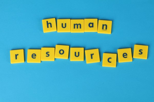 Quel études pour devenir ressources humaines ?
